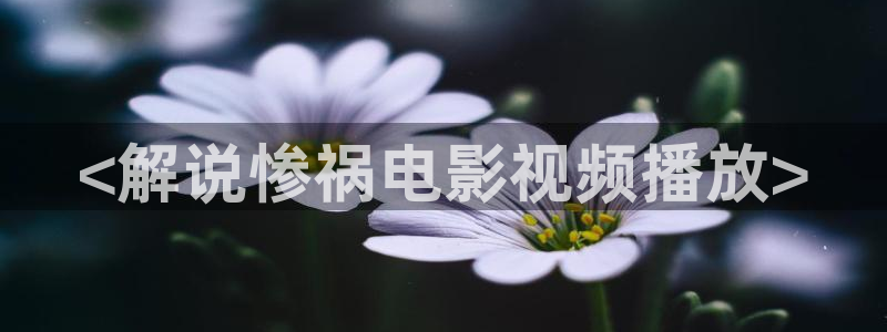 6080新视觉在线看电视剧
