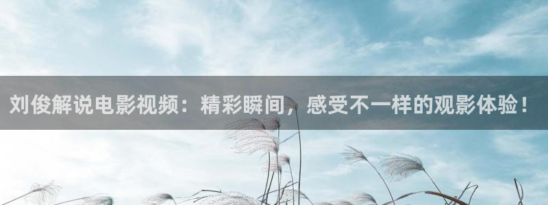 6080新视觉电影理论电视剧在线观看蛮