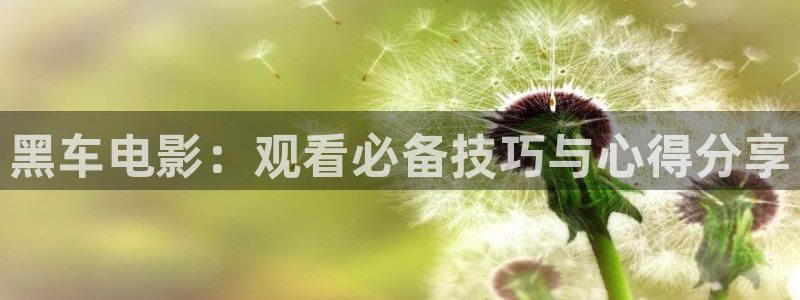 480新视觉影院