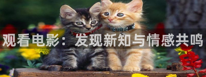 新视觉电影免费观看方法