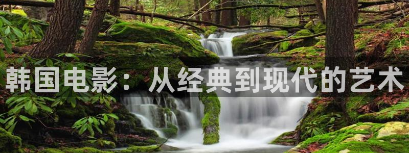 8090新视觉官网