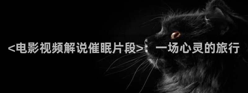 新视觉在线看