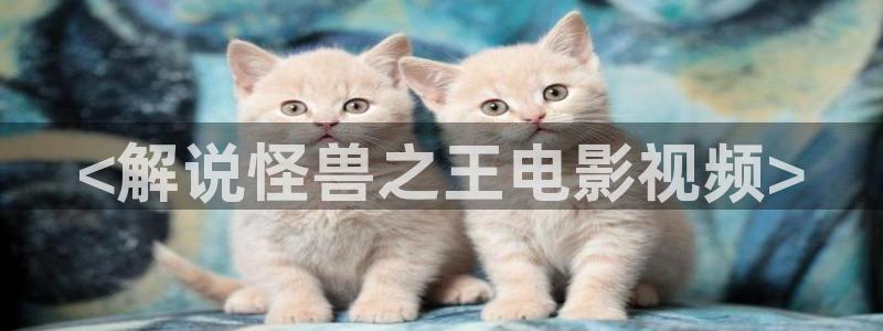新视觉4080