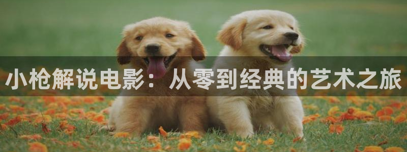 8060新视觉影视热播剧免费观看