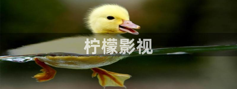 6080新视觉电影院免费观看国语版
