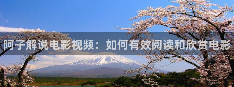4080新视觉