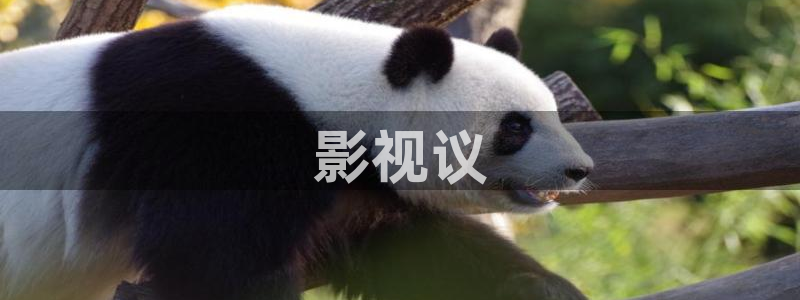 蓝雨新视觉