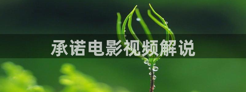 新视觉数码实训基地