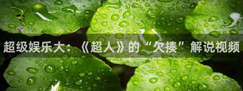 新视觉奇领yy6080