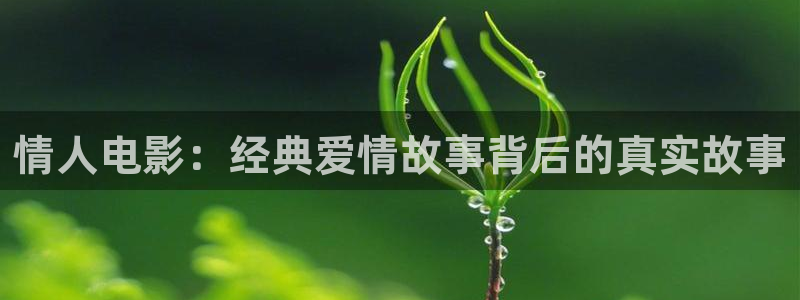 山东新视觉