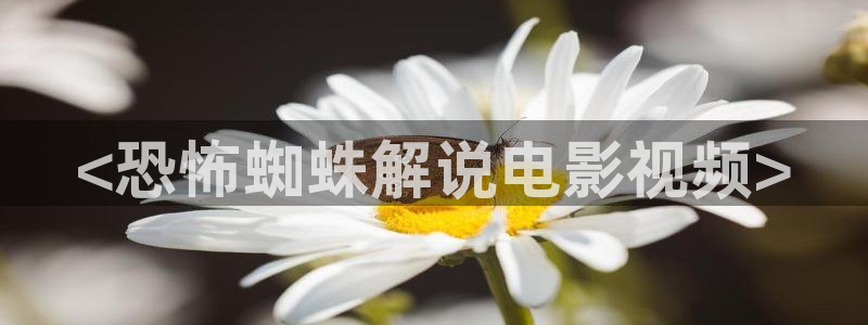 4060新视觉