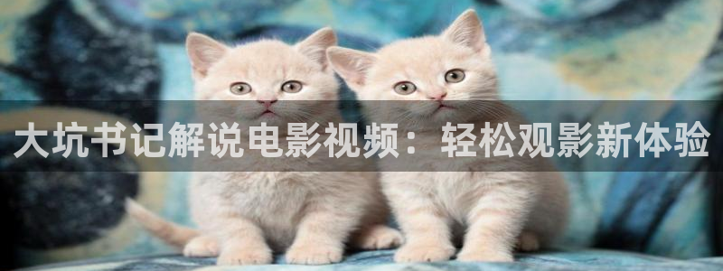 新视觉影院免费看