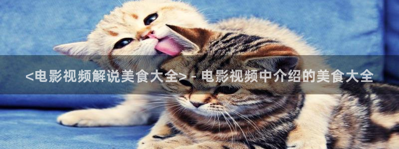 新视觉网