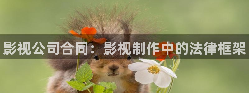 新视觉观影