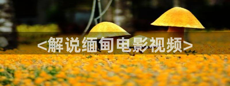 yy6080org新视觉