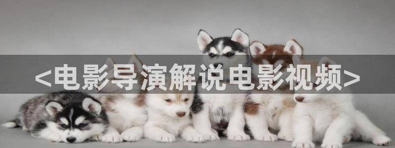 yy6029新视觉影视