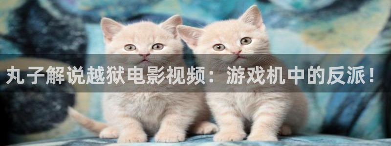 新视觉6080电影网
