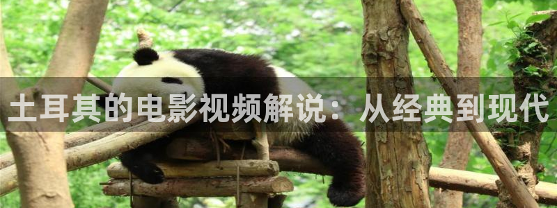 新视觉韩国电影观看