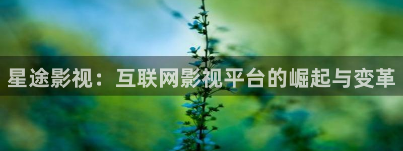 360新视觉