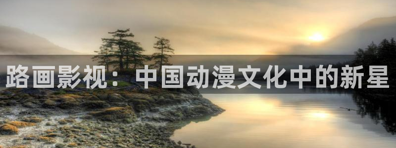 山东新视觉