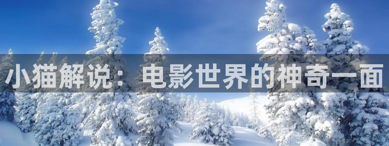 6080新视觉影院app