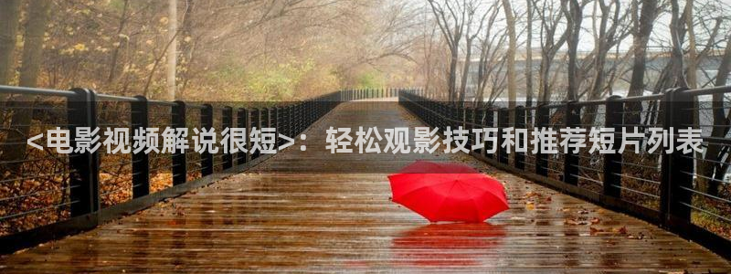 新视觉6080在线免费观看