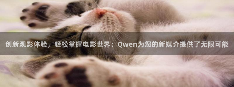 新视觉八戒