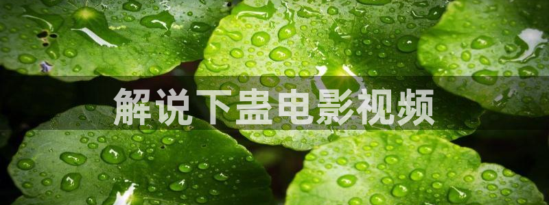 新视觉影视剧推荐6080观看
