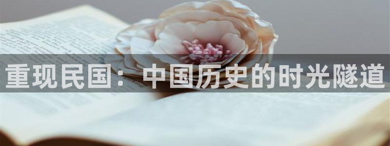 新视觉电视电影网4480