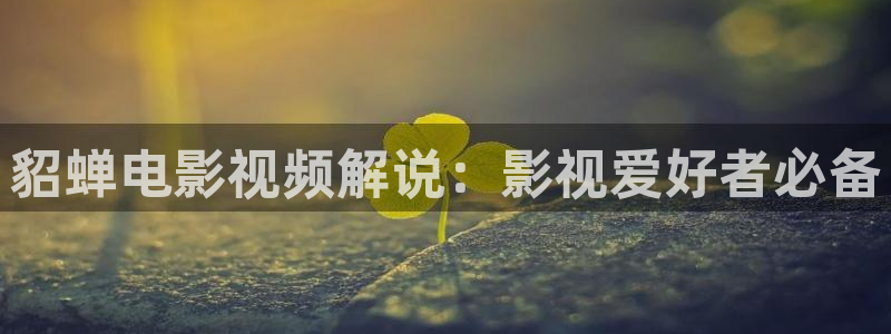 6080电影网站,6080yy电影在线看,8090新视觉