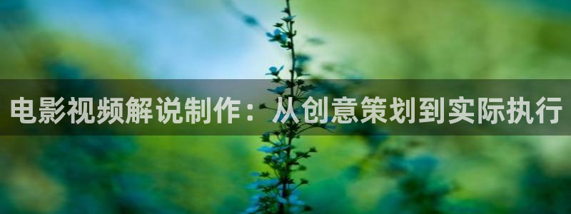 黄色新视觉