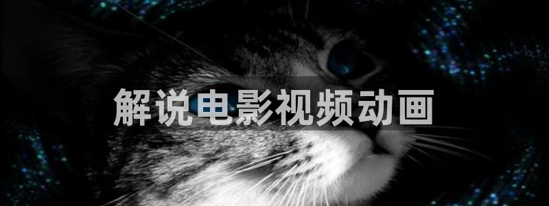 6080新视觉影视热播网剧大全