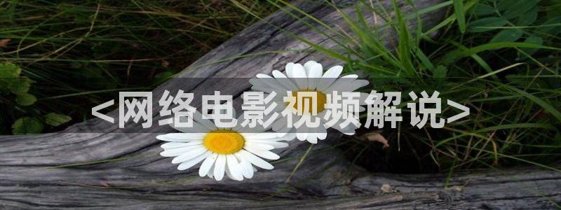 6090新视觉电视影院电视剧