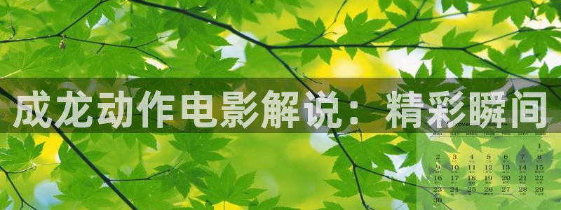8090新视觉影院在线播放