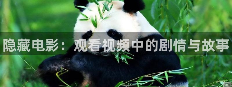 yy6080新视觉电影伦理