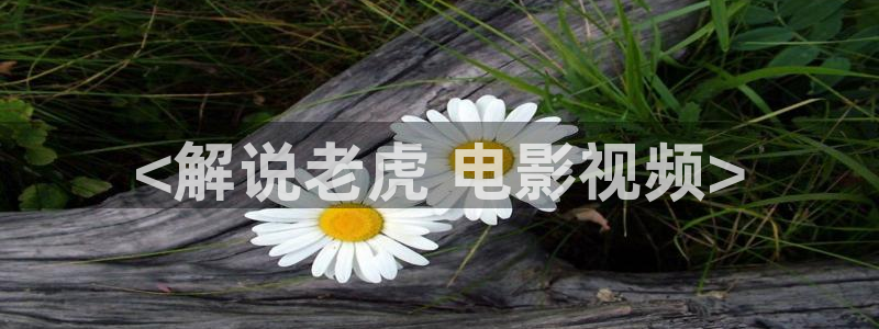 yy6080新视觉殇情影院
