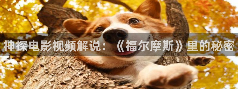 8090新视觉电影免费播放