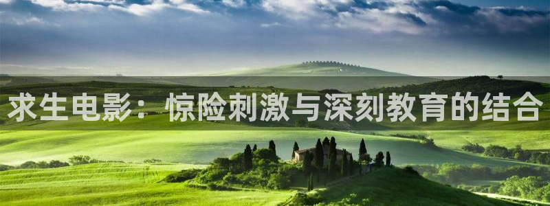新视觉培训班