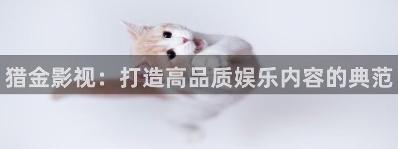 新视觉手机在线观看电视剧