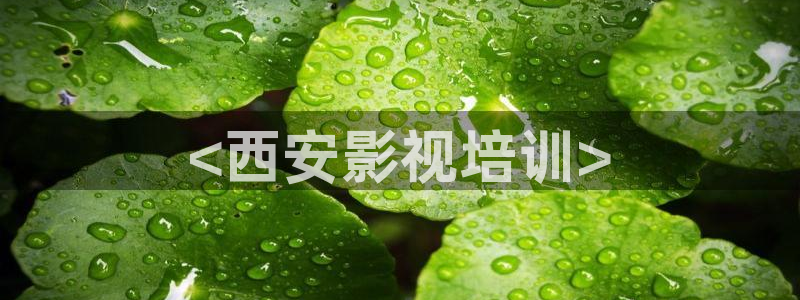 新视觉电影8090