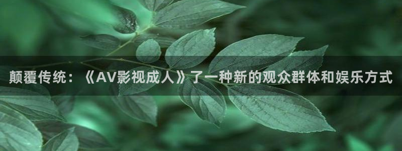 新视觉.