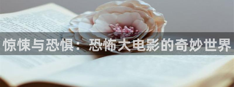 8090新视觉影院官网