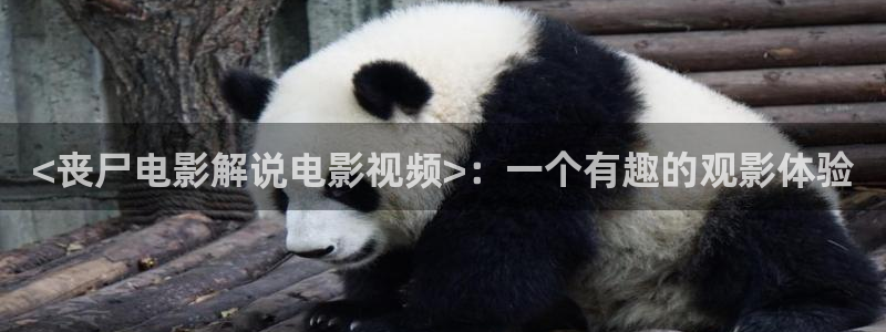 6080新视觉免费电影