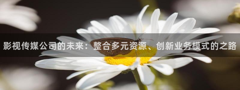 88新视觉
