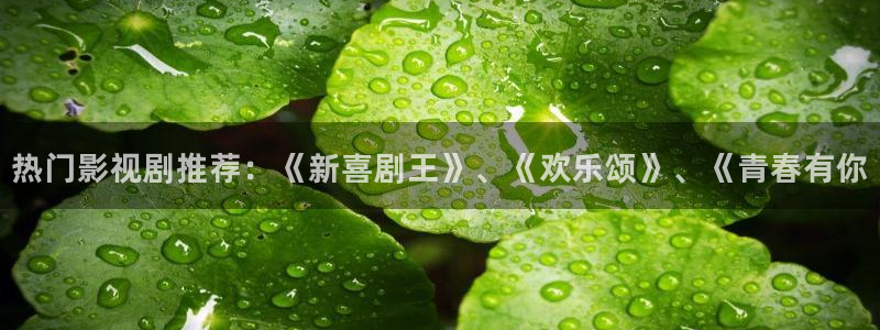 新视觉新电影