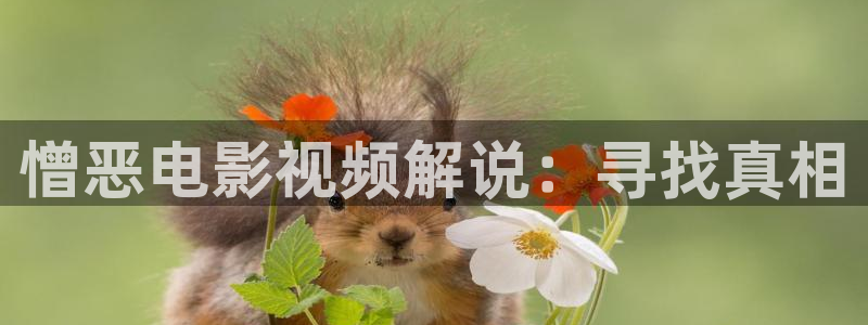 新视觉电影免费播放
