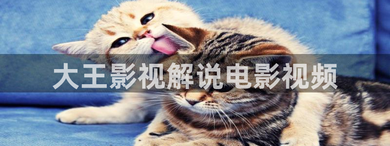 新视觉影院手机版在线观看