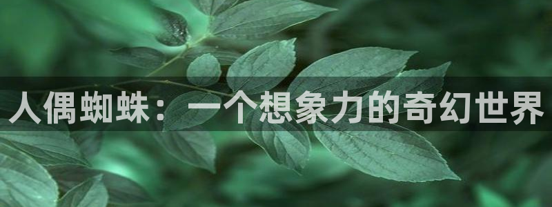 6080新视觉影院_6080yy电影在线看